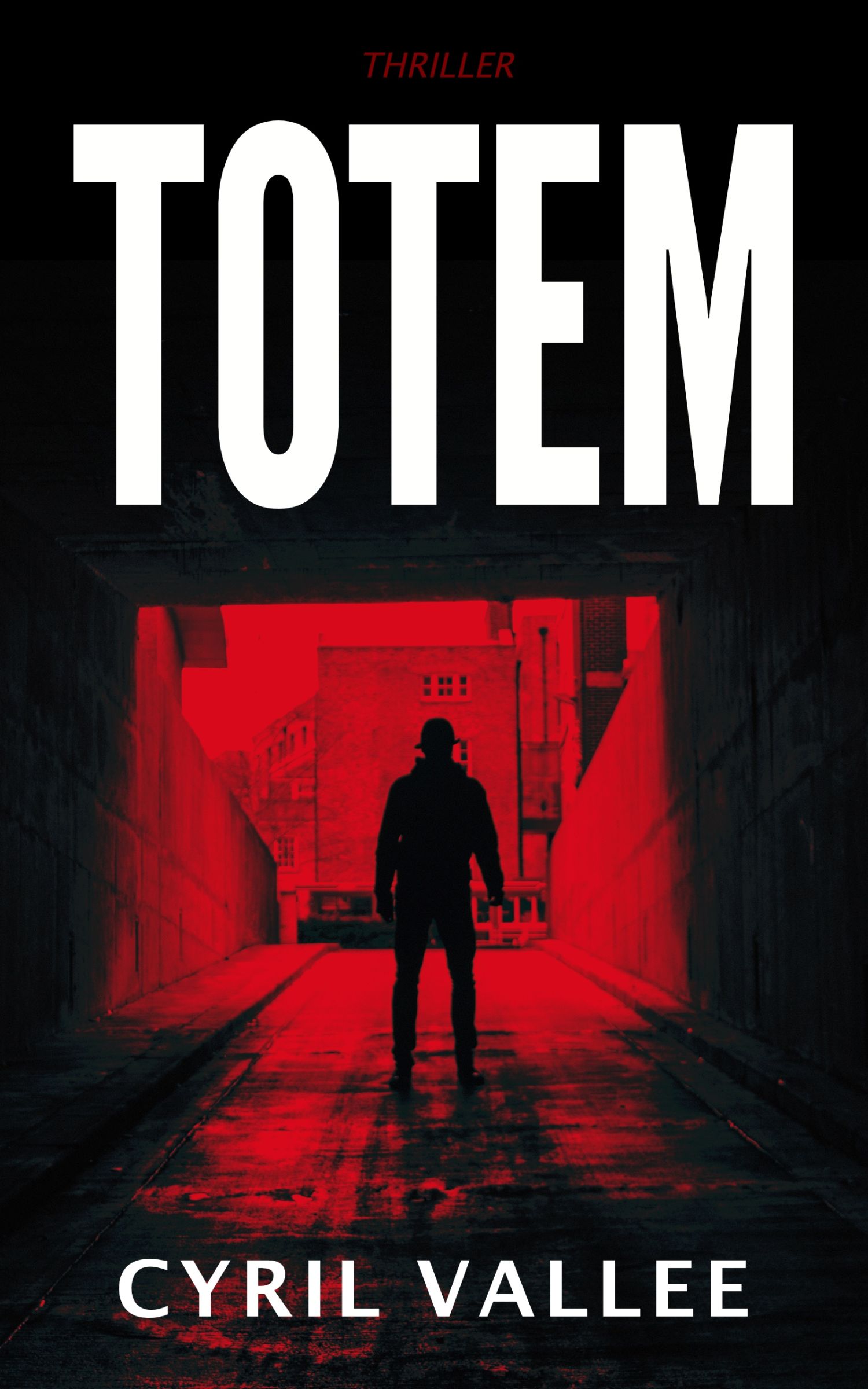 TOTEM-Kindle